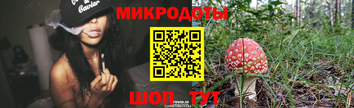 Псилоцибиновые грибы GOLDEN TEACHER Будённовск
